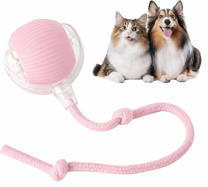 NantSpider™ Smart Chase Pet Toy Ball