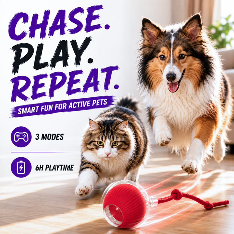 NantSpider™ Smart Chase Pet Toy Ball