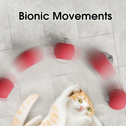 NantSpider™ Smart Chase Pet Toy Ball