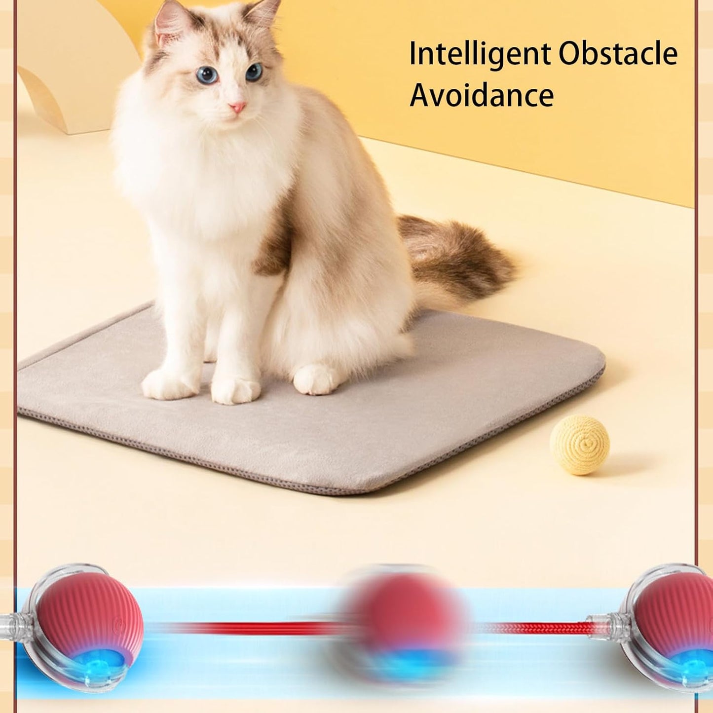 NantSpider™ Smart Chase Pet Toy Ball