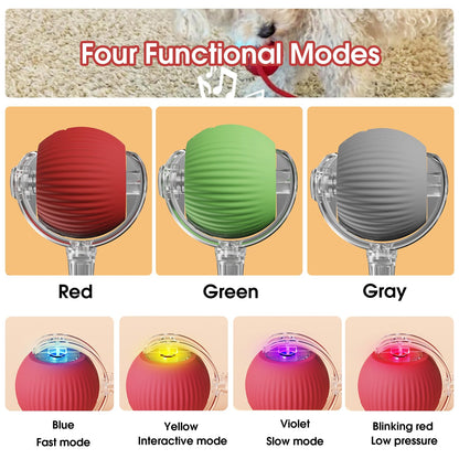NantSpider™ Smart Chase Pet Toy Ball