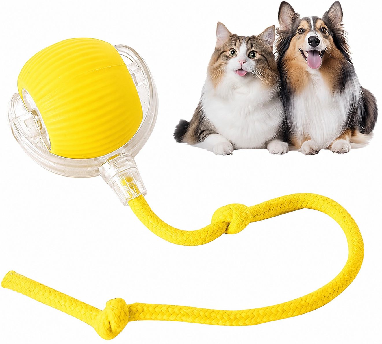 NantSpider™ Smart Chase Pet Toy Ball