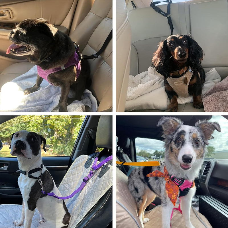 2-in-1 Dog Car Seat Belt & Walking Leash