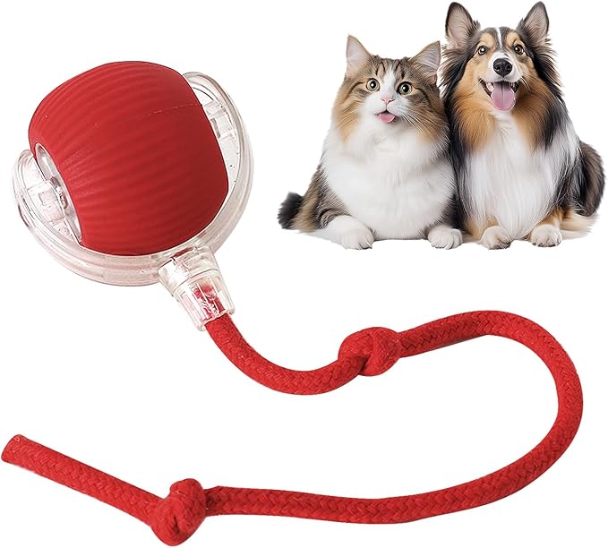 NantSpider™ Smart Chase Pet Toy Ball
