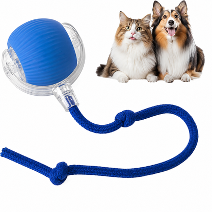 NantSpider™ Smart Chase Pet Toy Ball