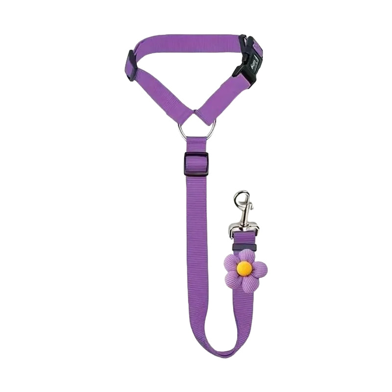 2-in-1 Dog Car Seat Belt & Walking Leash