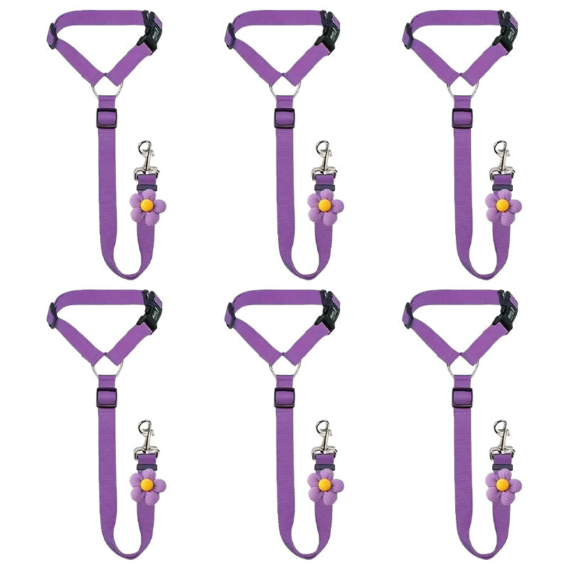 2-in-1 Dog Car Seat Belt & Walking Leash