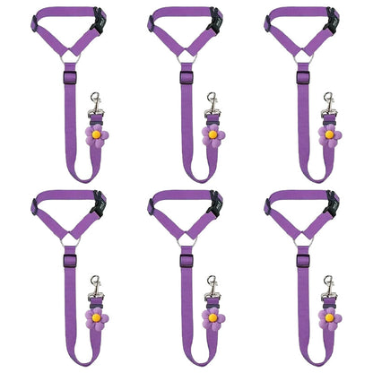 2-in-1 Dog Car Seat Belt & Walking Leash