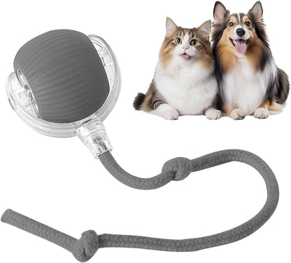 NantSpider™ Smart Chase Pet Toy Ball