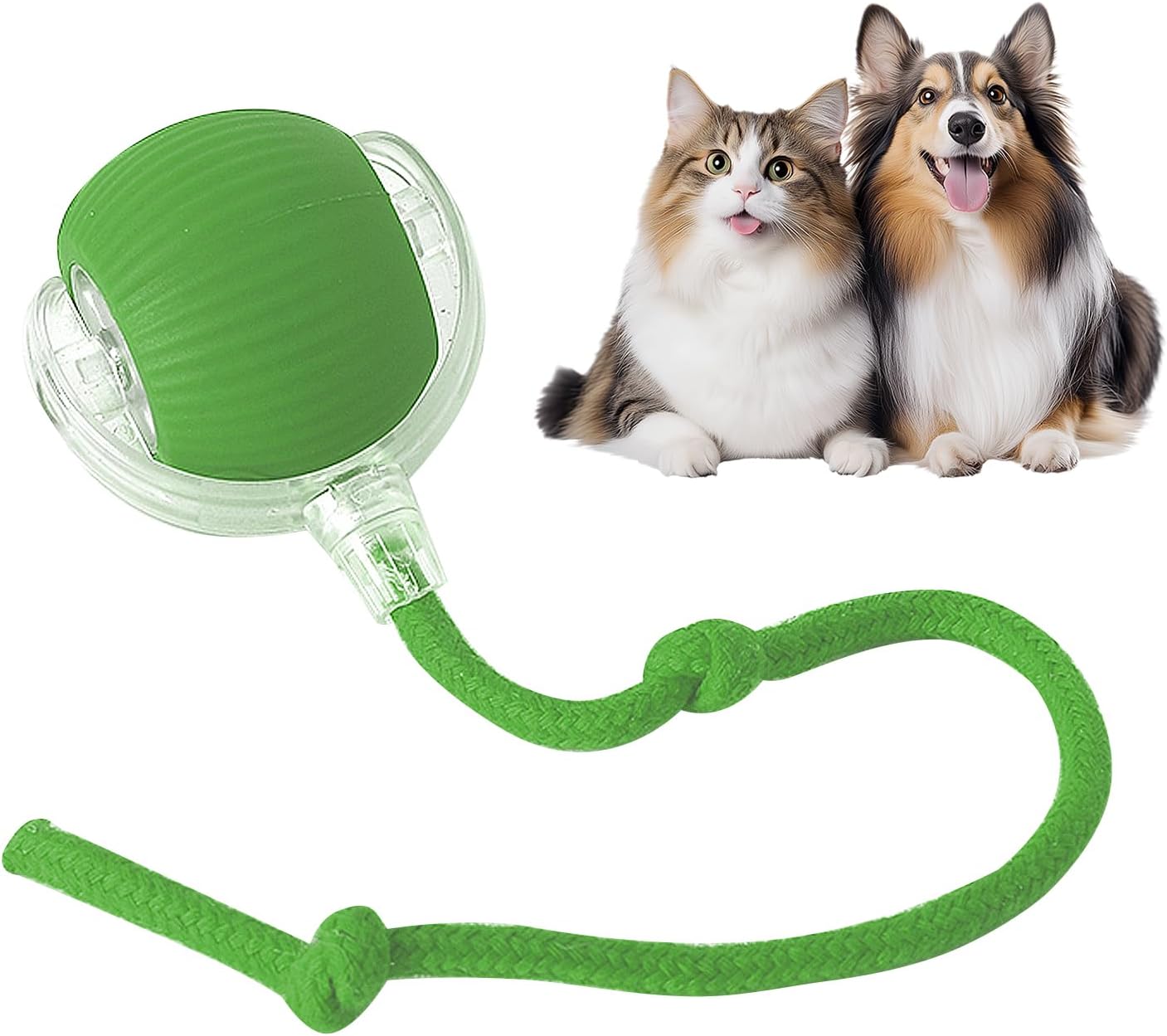 NantSpider™ Smart Chase Pet Toy Ball