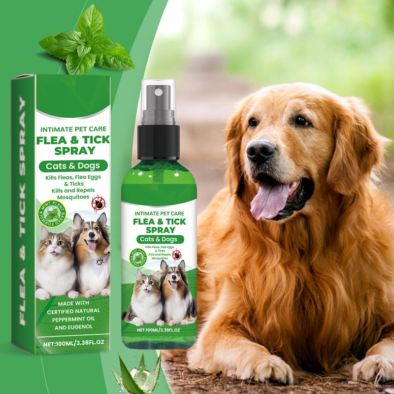 🥳2026 HOT SALE🥳 Martie™ Natural Flea & Tick Spray – Gentle Outdoor Pet Care