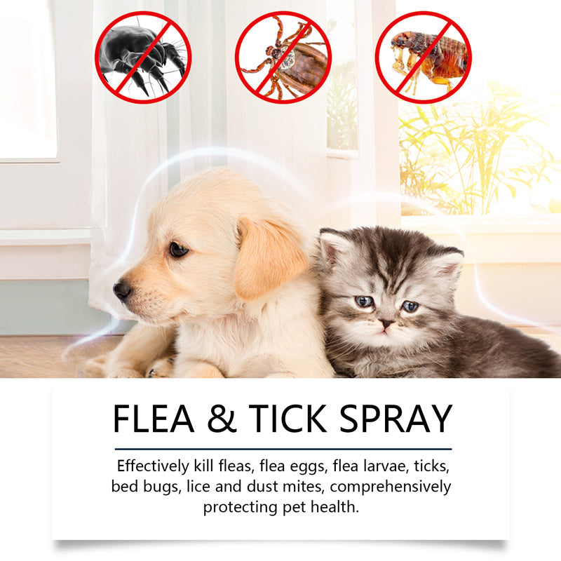 🥳2026 HOT SALE🥳 Martie™ Natural Flea & Tick Spray – Gentle Outdoor Pet Care